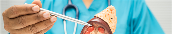 Continuing Medical Education in Renal Pathology: Current Practices and Needs Among Nephrologists