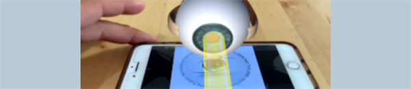 2021 Pioneer Award for Breaking New Ground in Your CPD Program: Bringing the VR Room to Your Living Room