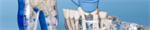 Impact of a Modular Escape Game on Undergraduate and Continuing Dental Education
