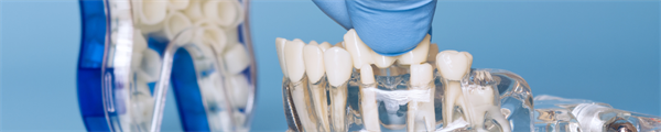 Impact of a Modular Escape Game on Undergraduate and Continuing Dental Education