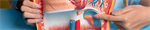 Impact of Short-term Online Continuing Education on Gastroesophageal Reflux Disease on the Cognitive Level and Diagnostic and Therapeutic Behaviors of Physicians in Medical Consortiums