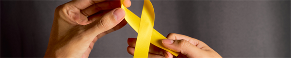 Suicide Prevention ECHO: Evaluating a Tele-Education Program to Increase Suicide Prevention Knowledge and Skills in Adolescent and Adult Providers