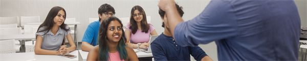 Clinical Educators Professional Development Utilizing Clinical Educators Milestones — Qualitative Thematic Analysis