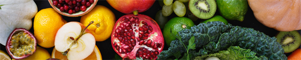 New MAHA Laws Require Nutrition CME for Doctors