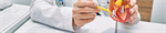 Education of Healthcare Professionals to Improve Guideline Adherence in Atrial Fibrillation: The STEEER-AF Cluster-Randomized Clinical Trial