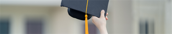 Bridging Competency Gaps for Newly Graduated Nurses Through Micro-Credentials: An Interpretative Descriptive Qualitative Study