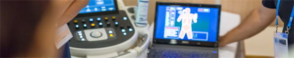 Pilot Evaluation of AI-Driven Simulation for Communication in Palliative and Hospice Care: Preliminary Insights From a Small-scale Study