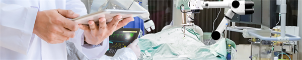HUMAn, a Real-Time Evolutive Patient Model for Major Incident Simulation: Development and Validation Study
