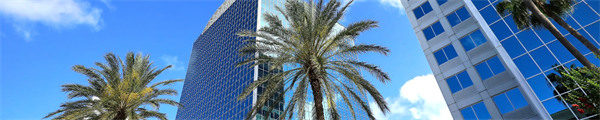 Expanding Perspectives: Day 1 at #Alliance25