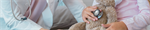 Online Delivery of Interprofessional Adverse Childhood Experiences Training to Rural Providers: Usability Study