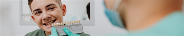Continuing Professional Development and Education in Orthodontics in 41 European Countries: A Survey