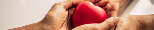The Art of Equanimity: Practicing Presence in a Stress-filled World