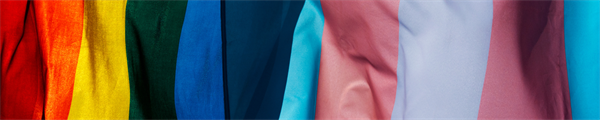 The Current State of Transgender Health Curricula in Graduate Surgical Education: A Systematic Review of Survey Data