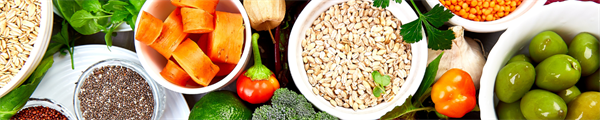 Nutrition in Geriatrics-focused Continuing Medical Education