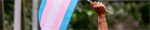 Advancing Excellence in Transgender Health: An International Professional Development Conference on Affirming Care for Transgender and Gender Diverse People