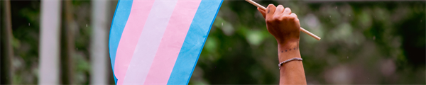 Advancing Excellence in Transgender Health: An International Professional Development Conference on Affirming Care for Transgender and Gender Diverse People