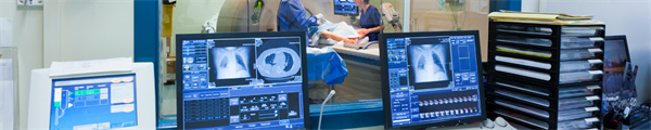 Educational Impact of a National Training Webinar on AI-based Automatic Contouring in Radiation Oncology