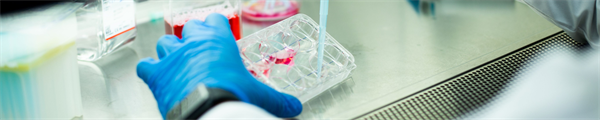 Florida Senate Mandates Sickle-cell Continuing Education for Certain Health Professionals