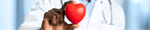 New Cardiology-OB-GYN Continuing Education to Launch With $1 Million Gift From Leading Media Voice on Health Dr. Jennifer Ashton and Husband Tom Werner