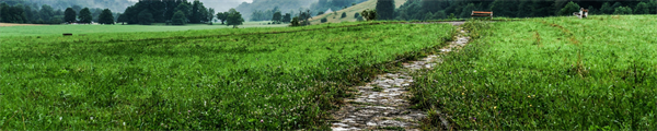 A Pathway to Leadership