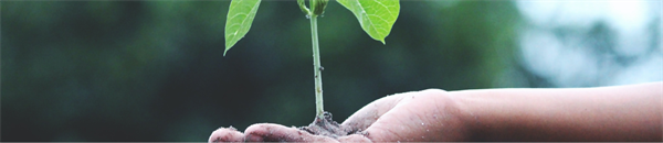 Medical Education Programs Tell How Climate Change Affects Health